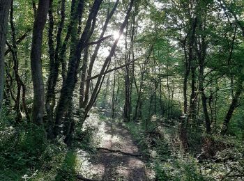 Trail Walking Barizey - Bourgogne à pied - Photo