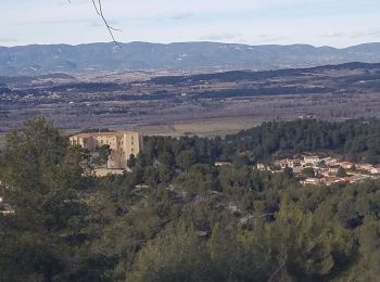 Trail Walking Meyrargues - Meyrargues - Par vallon de Lazare - Photo