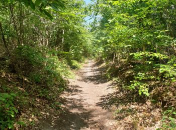 Trail Walking Court-Saint-Étienne - circuit 3 Court St Étienne  - Photo