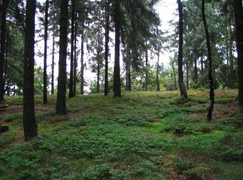 Trail On foot Willebadessen - Rundwanderweg Borlinghausen A1 (Willebadessen: Schloss Borlinghausen) - Photo