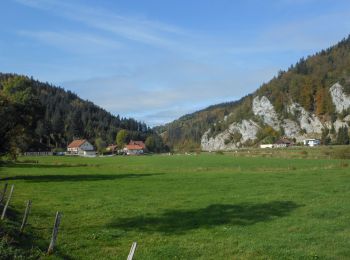 Tour Wandern Les Combes - Remonot 8 octobre 2020 CAF - Photo