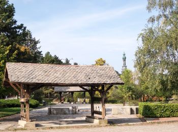 Tour Zu Fuß Valgreghentino - Sentiero 9: Campiano - Consonno - Olginate - Photo