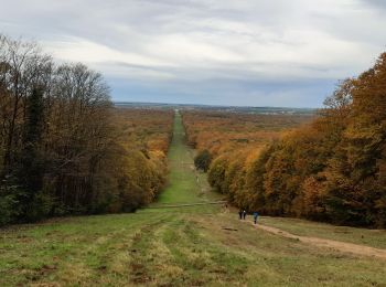 Randonnée Marche Compiègne - Forêt de Compiègne - Photo