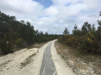 Tocht Hybride fiets Carcans - Maubuisson Lacanau Nord - Photo