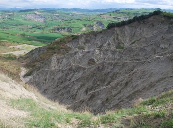 Percorso A piedi Meldola - IT-B15 - Photo