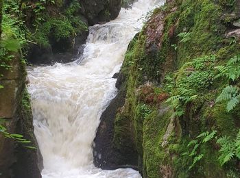 Randonnée Marche Arfeuilles - la cascade de pisserotte - Photo