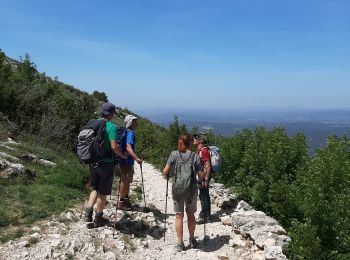 Tour Wandern Vauvenargues - les cabassols le Prieuré - Photo
