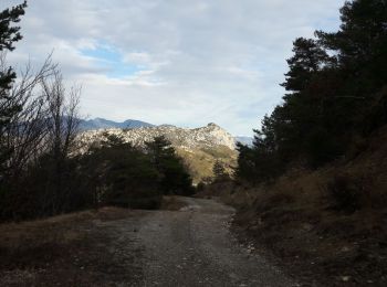 Trail Walking Puget-Théniers - La villa du Collet - La Penne Puget Theniers par le GR510 et le Gourdan - Photo