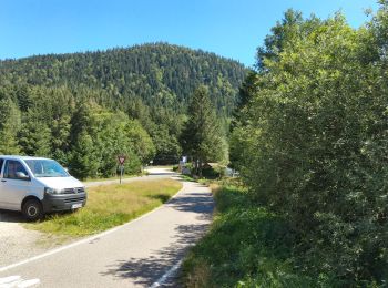 Tour Wandern Xonrupt-Longemer - randonnée sur 2 jours des 5 lacs dans les Vosges ( longemer, blanchemer, lispach, Retournemer, de la lande) - Photo
