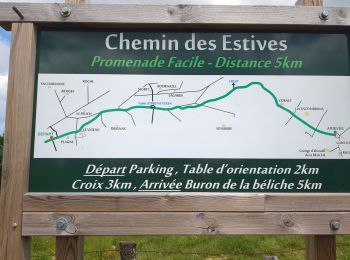 Tocht Stappen Anglards-de-Salers - chemin des estives - Photo