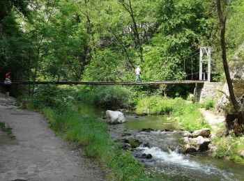 Trail On foot  - Tureni - Dl Petridului - Cheile Turzii - Photo