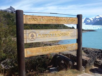 Excursión Senderismo  - Perito Moreno - Photo