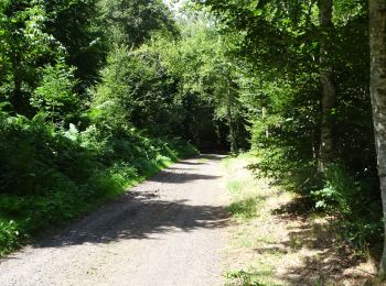 Trail Walking Chanat-la-Mouteyre - 5 Chanat la Moutaire - Photo