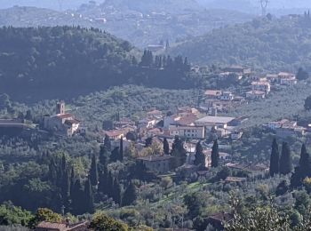 Percorso A piedi Quarrata - Sentiero CAI 5 - Sez. Prato - Photo