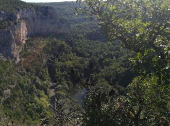 Tour Wandern Saint-Antonin-Noble-Val - Saint antonin Brousses P23 - Photo