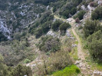 Trail Trail Cheval-Blanc - Roquerousse-Pradon-Oppède-Maubec-Aiguille(30K1200D+) - Photo