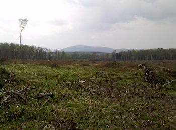 Randonnée A pied Bánd - P+ (Augusztintanya - Márkó malom) - Photo