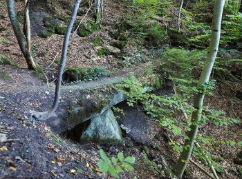 Randonnée A pied Spiegelberg - Rundwanderweg S4 - Photo