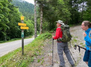 Tour Wandern Saint-Christophe-sur-Guiers - Petit Som 8 km - Photo