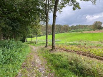 Trail Walking Nivelles - Monstrueux 21.4 km - Photo