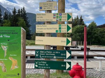Trail Walking Les Houches - 1ère étape GR tour du Mont Blanc  - Photo