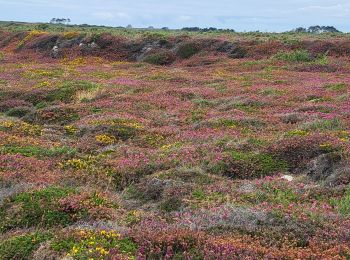 Tocht Stappen Camaret-sur-Mer - T-St-Julien - Photo