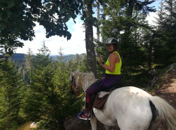 Trail Horseback riding Turquestein-Blancrupt - tipis col de lengin cimetiere militaire main de fer croix simon - Photo