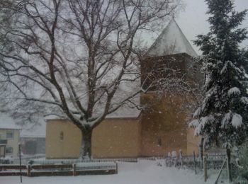 Tocht Te voet Bad Arolsen - Bad Arolsen Wanderweg Ma1 - Photo