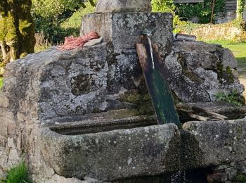 Tour Wandern Saint-Gence - la ribière du theil - Photo