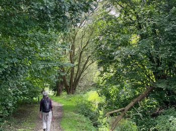 Tour Wandern Huldenberg - Huldenberg Terlanen site naturel Lasne - Photo