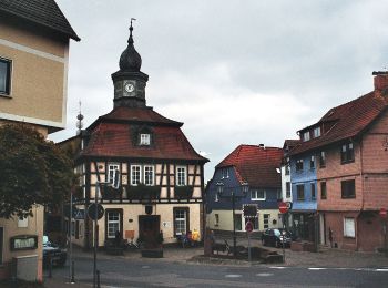 Excursión A pie Bad Soden-Salmünster - Bad Soden-Salmünster Wanderweg Nr. 12 - Photo