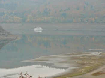 Tour Zu Fuß Edertal - Nationalparkrundweg 