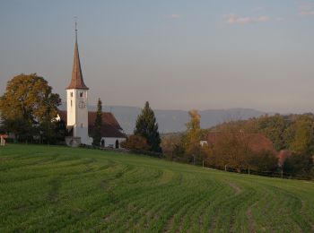 Randonnée A pied Oberwil bei Büren - Oberwil - Photo