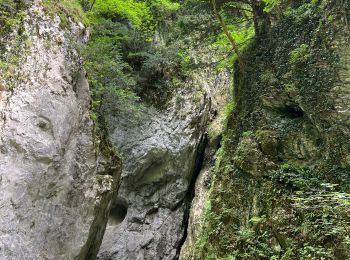 Trail Walking Montefortino - Gole dell’ infernaccio - Photo