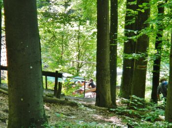 Tour Zu Fuß Markgröningen - DE-Markgröningen - Leudelsbach - Tamm (SAV Blauer Punkt) - Photo