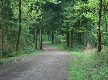 Trail On foot Aachen - Waldrundweg Blau 2 - Photo