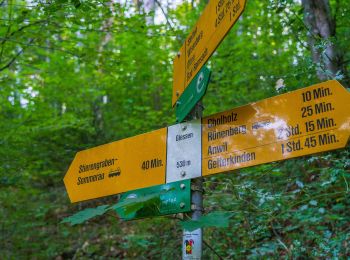 Randonnée A pied Rünenberg - Stolten - Sommerau - Photo