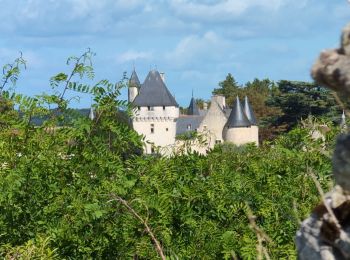 Percorso Marcia Lémeré - Lémeré - le Coudray Château du Rivau - 15.6km 140m 3h20 (1h) - 2024 08 25 - Photo