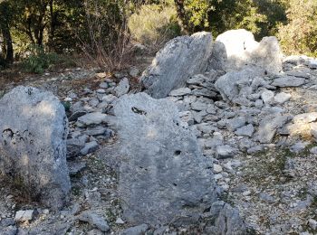 Excursión Senderismo Saint-Marcel-d'Ardèche - les dolmens - Photo