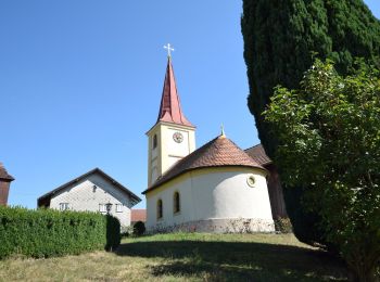 Percorso A piedi Taufkirchen an der Pram - Kirchensteig Laufenbach-Maad - Photo