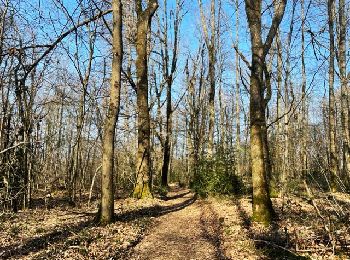 Trail Walking Villers - Villers : Marigny et Bois Noé - Photo