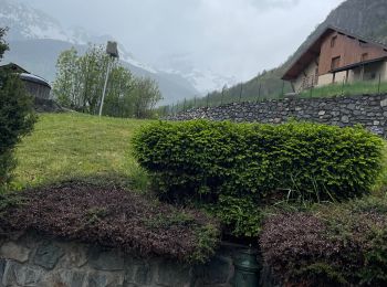 Randonnée Marche Vaujany - La condamine sous la pluie  - Photo