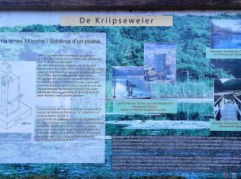 Tour Zu Fuß Niederanwen - J9 Sentier Biergerkräiz 10,5 km - Photo
