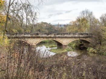 Tour Zu Fuß Reckendorf - Maus-Wanderweg Reckendorf - Photo