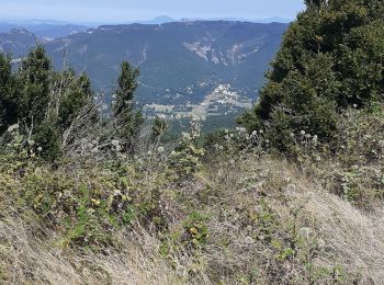 Tour Wandern Roche-Saint-Secret-Béconne - cam1 - Photo