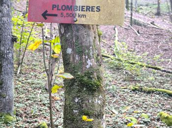 Trail Walking Plombières-lès-Dijon - Rando boucle Plombières Velars - Photo