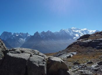 Excursión Senderismo Chamonix-Mont-Blanc - Les aiguilles Rouges Chamonix Argentière  - Photo
