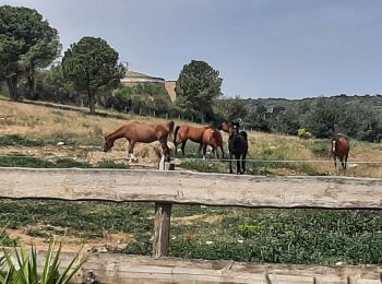 Tour Wandern Sainte-Colombe-de-la-Commanderie - source de la Basse - Photo