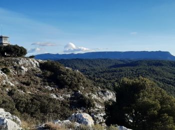 Randonnée Marche Peyrolles-en-Provence - Calanques de Meyrargues - Photo