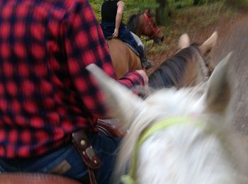 Trail Horseback riding Buriville - buriville pour debaliser avec élodie tiboy vispa tivio - Photo